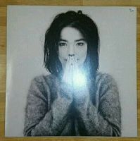 Björk - LP Vinyl ‎Debut One Little Indian 1993 Erstpressung Leipzig - Möckern Vorschau