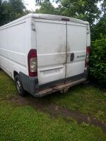 Fiat Ducato 250l lang Version H1L2 Hessen - Trebur Vorschau