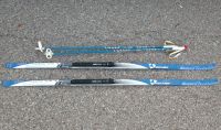 Fischer SNS Profil Schuppen Langlaufski Set 184cm Langlauf Ski185 München - Altstadt-Lehel Vorschau