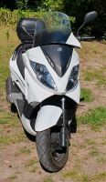 ‼️Kreidler Insignio 2.0 125ccm Motorrad Roller‼️ Steuerfrei ‼️ Niedersachsen - Wedemark Vorschau