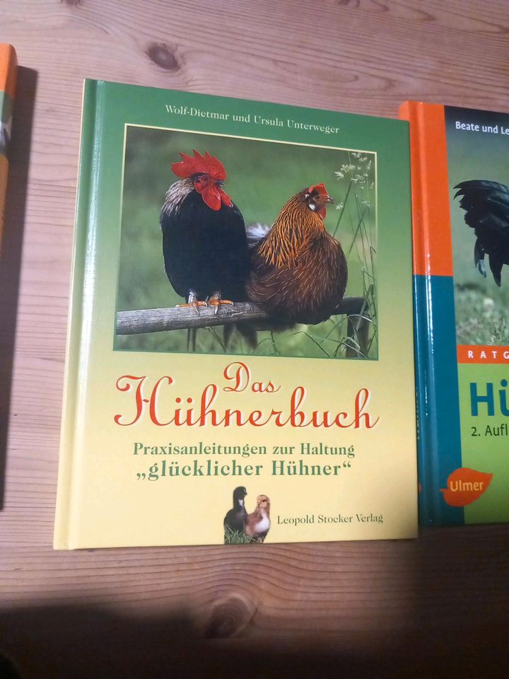 Bücher Hühner halten / Tiere hinterm Haus 1 A Zustand in Bentzin