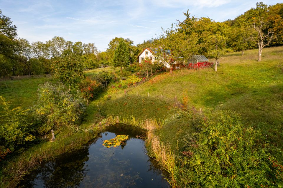 *** EIFEL *** Mehrfamilienhaus *** Anwesen in ALLEINLAGE *** AUTARK WOHNEN ***idyllisches SEMINARHAUS mit großen Apartements ***  *** Generationenhaus *** Natur pur *** gute Infrastruktur ***... in Oberweis