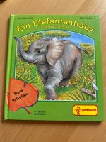 Ein Elefantenbaby wächst heran Baden-Württemberg - Weinstadt Vorschau