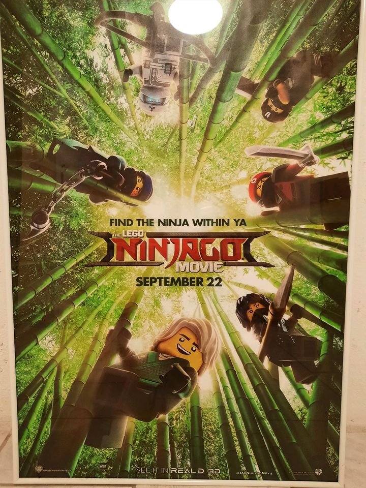 Ninjago Film Plakat im Bilderrahmen in Euskirchen