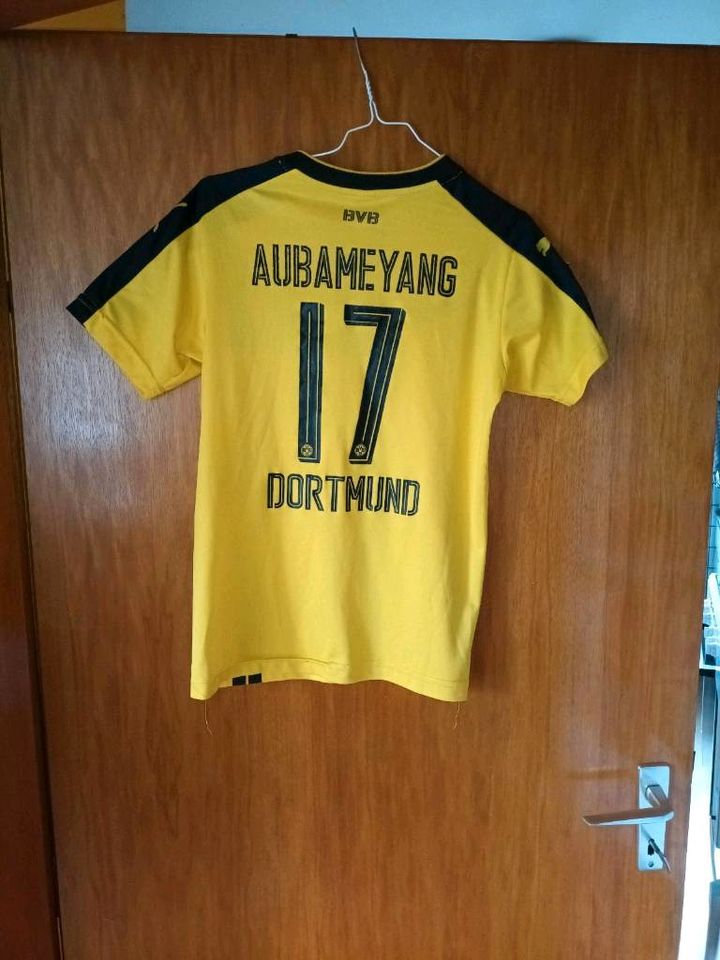 Borussia Dortmund Trikot Aubameyang in Saarbrücken