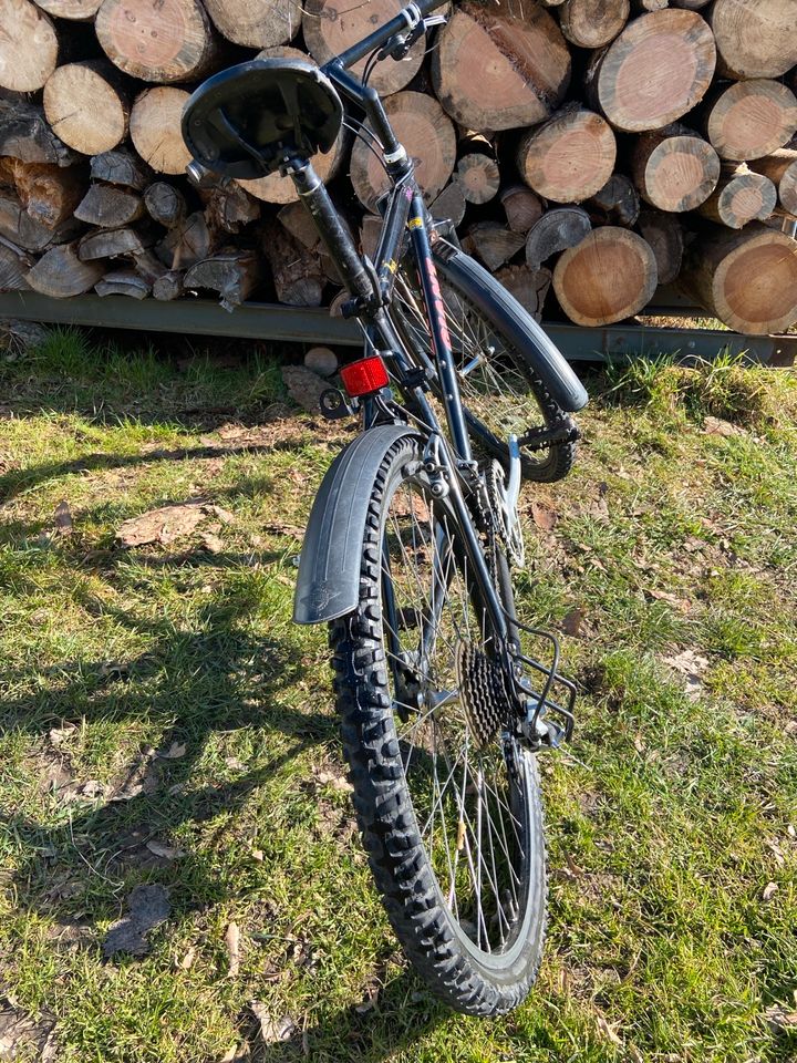 Giant Mountainbike 26 Zoll in Seybothenreuth