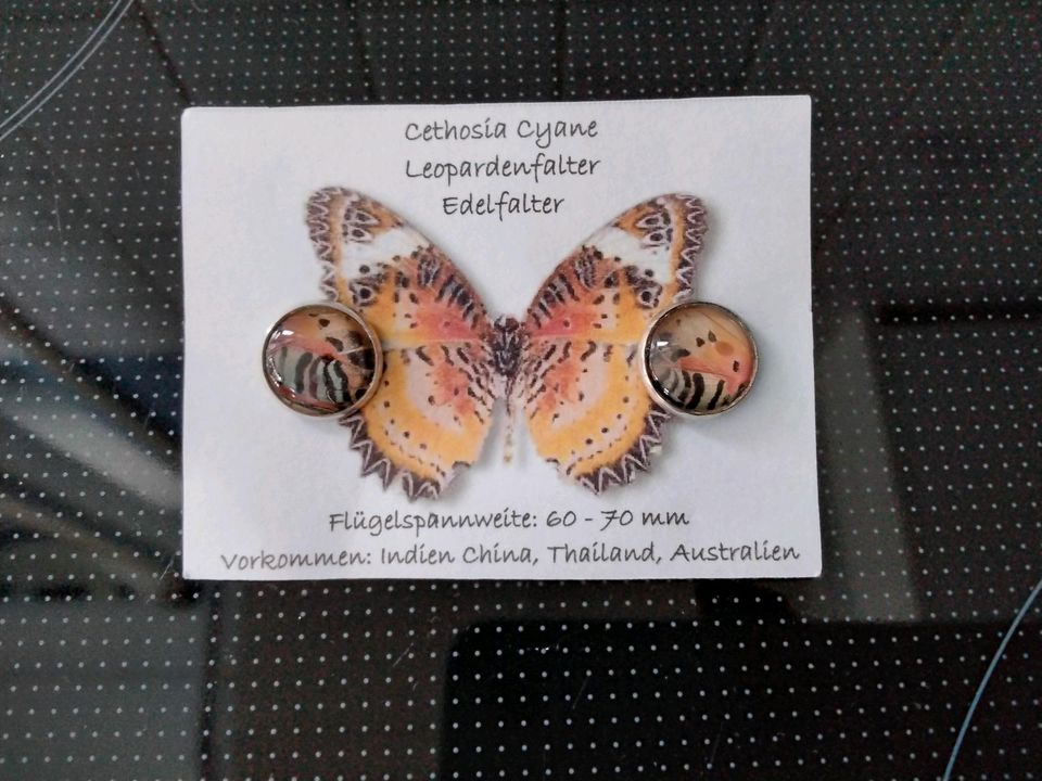 Ohrstecker Schmetterling Leopardenfalter Orange Neu in Katlenburg-Lindau