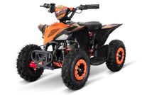 Quad Replay 1000 W Sport  6 Zoll Nordrhein-Westfalen - Rietberg Vorschau