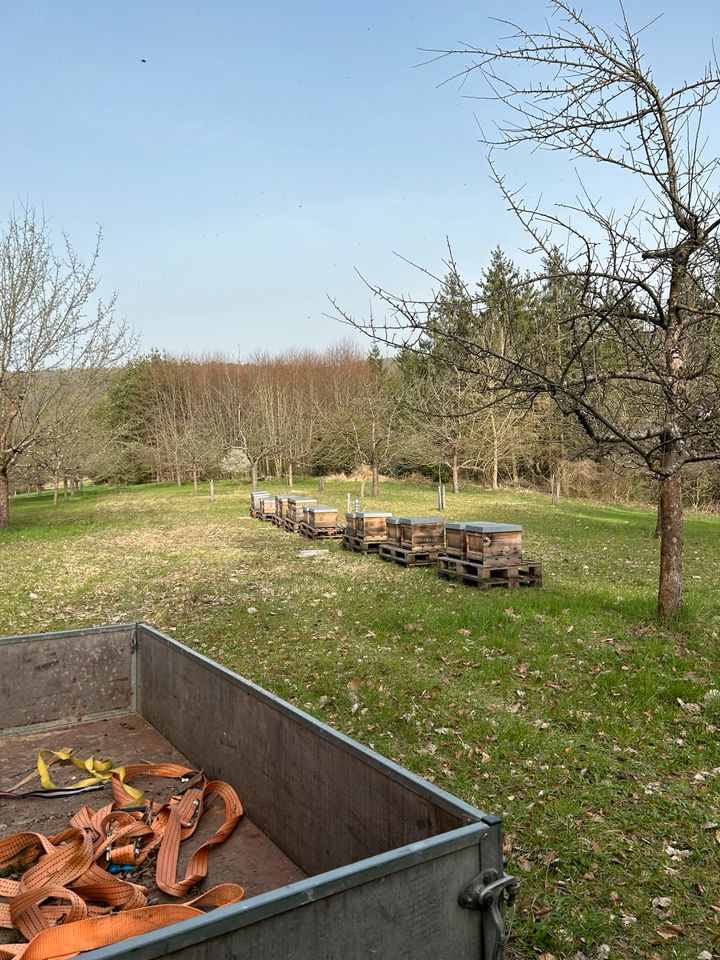 Imkerei sucht Zuhause (Produktion u. Lager) in Hausen i. Niederbayern