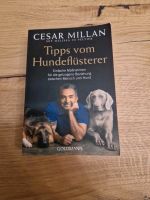 Tipps vom Hundeflüsterer, Cesar Millan Hessen - Schöneck Vorschau