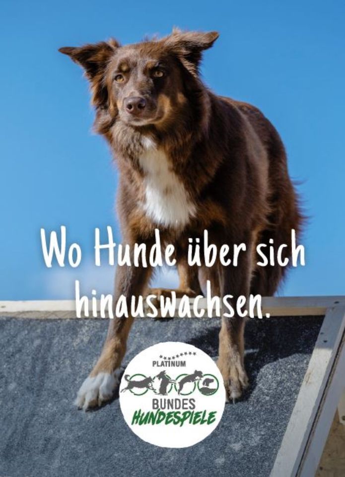 20 % Rabatt auf Tickets Bundeshundespiele 2024 - Du und dein Hund in Osnabrück