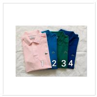 Lacoste Poloshirts Polohemden gr 5 L.    je. Preis Nordrhein-Westfalen - Bergheim Vorschau