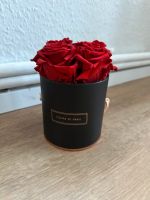 Fleurs de Paris rote Rosen haltbar Schwachhausen - Riensberg Vorschau