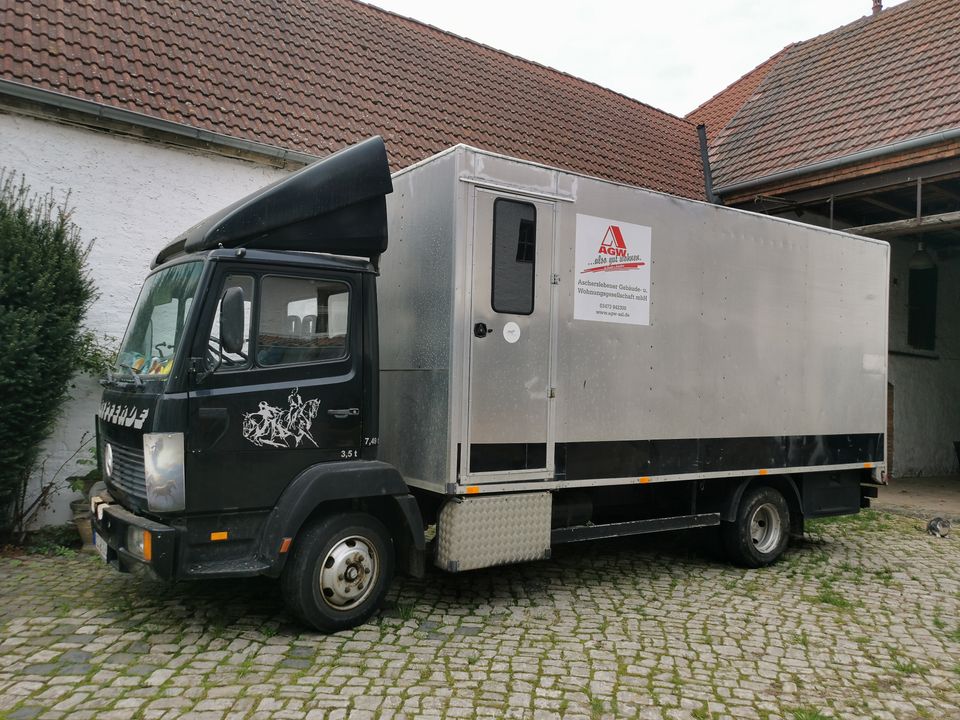 Pferdetransporter MB 814  TÜV/ AU neu !!! H Kennzeichen! in Aschersleben