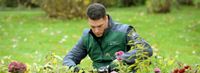 Gartenhelfer (m/w/d) Teilzeit in Nordhausen und Umgebung Thüringen - Nordhausen Vorschau