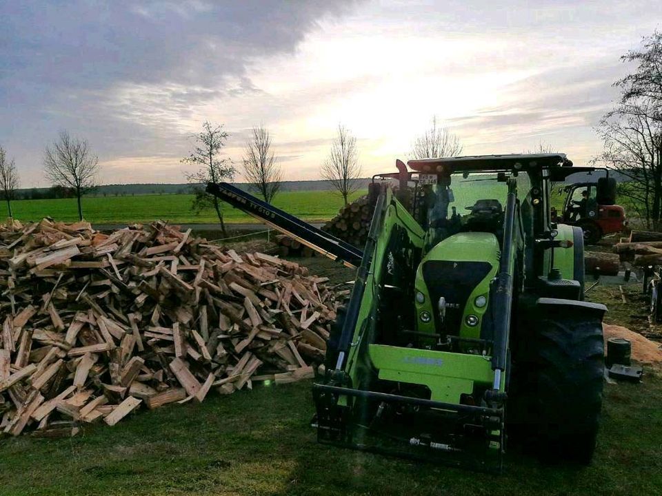 Holzspalten in Jessen (Elster)