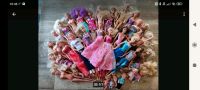 riesige BARBIE Sammlung mit Kleidung Sachsen - Stollberg Vorschau