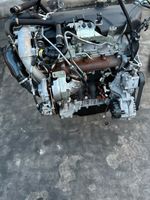 Motor Fiat Ducato 2.3 F1AGL4113 140PS EU6 KOMPLETT Nordrhein-Westfalen - Leverkusen Vorschau