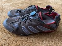 GEOX Sneaker - wie neu - Gr. 42 Schleswig-Holstein - Lübeck Vorschau