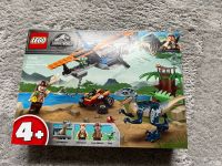 LEGO Jurassic World (75942) Nordrhein-Westfalen - Winterberg Vorschau