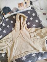 Hoddy Bauchfrei  Basic Rostock - Toitenwinkel Vorschau