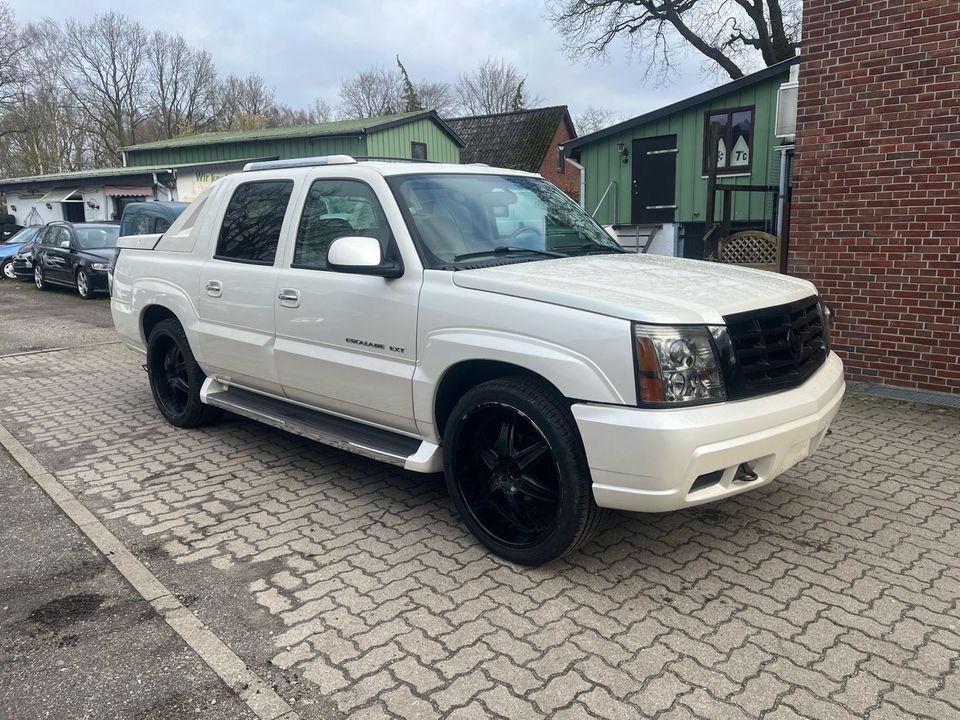 Chevrolet Escalade V8 LPG Pickup Tüv bis 12/2024 in Quickborn