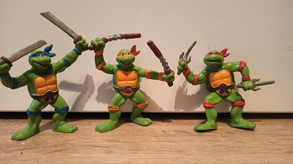 Hero Turtles 1990 in Magdeburg