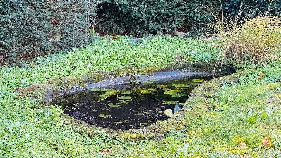 Freistehendes Zweifamilienhhaus in erstklassiger Lage in Hanau