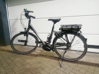 Neuwertiges Victoria E-Bike 5.6 SE Essen - Essen-Borbeck Vorschau
