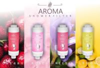 AROMA Duschfilter mit Vitamin C und ätherischen Ölen, inklusive Lieferung Thüringen - Mühlhausen Vorschau