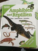 ❤️Amphibien und Reptilien ❤️ Thüringen - Schleiz Vorschau