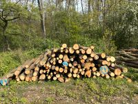 Buchenholz Kamin Holz 4m Polter sehr gut anfahrbar Nordrhein-Westfalen - Frechen Vorschau