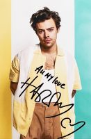 Harry Styles, tolles Autogramm auf ein riesen Foto! Top Zustand! Baden-Württemberg - Friedrichshafen Vorschau