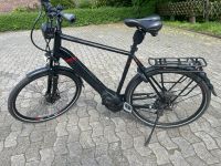 Pegasus Savona EVO 10K E-Bike mit ABS Bosch für große Menschen Nordrhein-Westfalen - Laer Vorschau