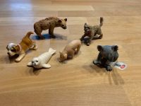 Hund, Robbe, Schwein, Koala  Schleich Schleswig-Holstein - Horst (Holstein) Vorschau