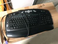 Logitech Tastatur Schwarz USB Harburg - Hamburg Heimfeld Vorschau