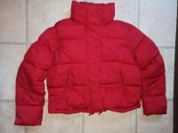 Hollister Winterjacke (Pufferjacke), rot, Gr. L Dortmund - Hörde Vorschau