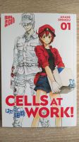 Cells at Work Manga Band 1 Sachsen-Anhalt - Halle Vorschau