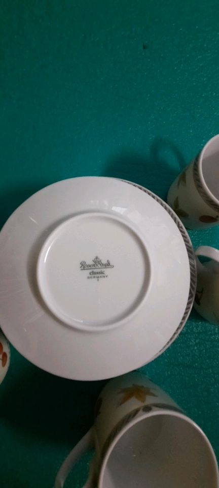 Espressotassen Set 10-teilig, Rosenthal Classic in Friedberg (Hessen)