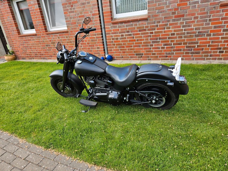 Harley-Davidson FLSTF in Delmenhorst