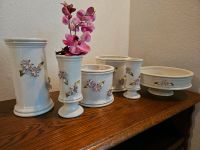 Vasen verschiedene ab je 10€ zu verkaufen Baden-Württemberg - Wernau Vorschau
