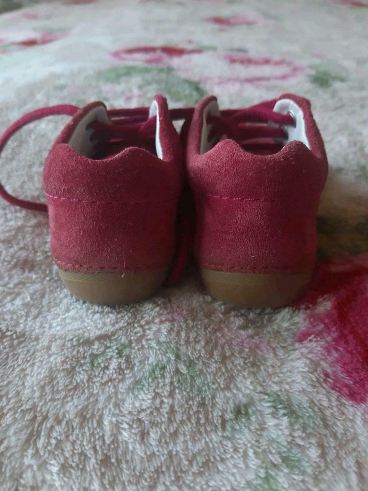 Elefanten Lauflernschuhe Lederschuhe Babyschuhe Wildleder Gr. 19 in Bremen