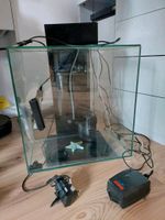 Aquarium zu verkaufen in gute zustand circa 45 l Dortmund - Eving Vorschau