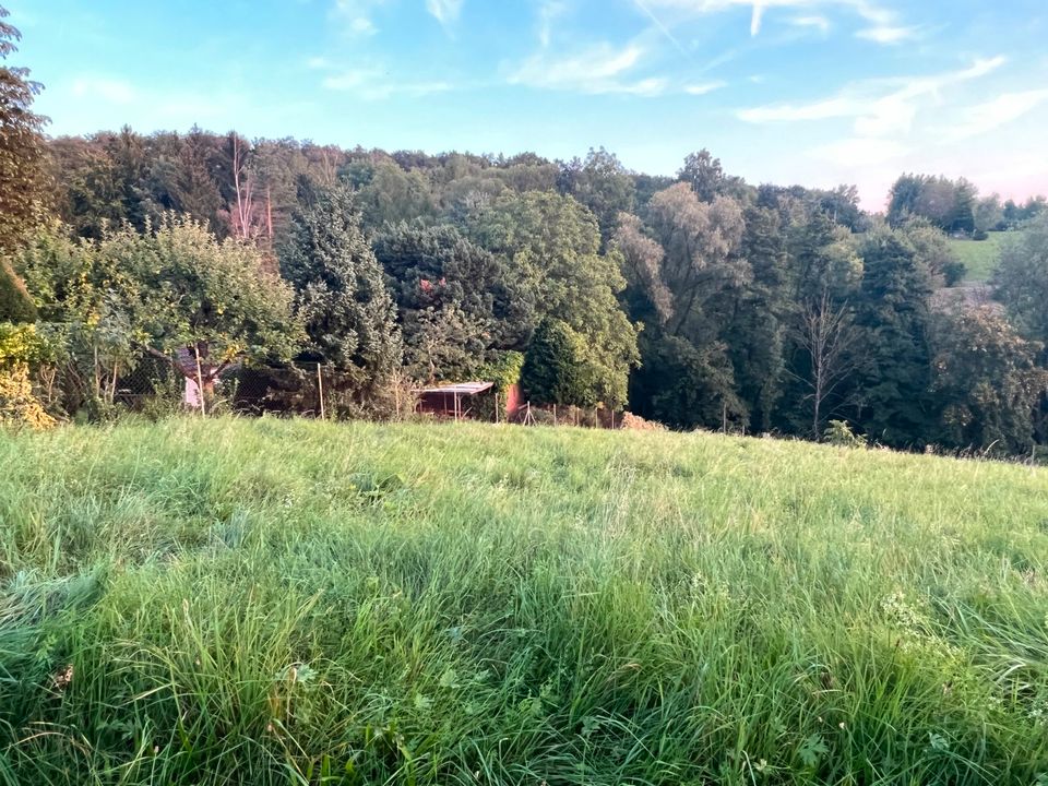 Grundstück in Weinstadt-Schnaid - Wohlfühlgarten Erholung in der in Weinstadt