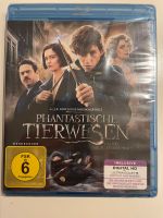 Phantastische Tierwesen und wo sie zu finden sind [Blu-ray] Niedersachsen - Braunschweig Vorschau