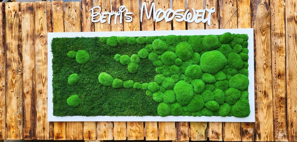 ❤️ ab 109€Moos Moosbild Bollenmoos Anfertigung Anfrage in Saarbrücken