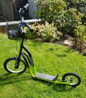 Scooter  (PinePeak Air Scooter) Nordrhein-Westfalen - Swisttal Vorschau