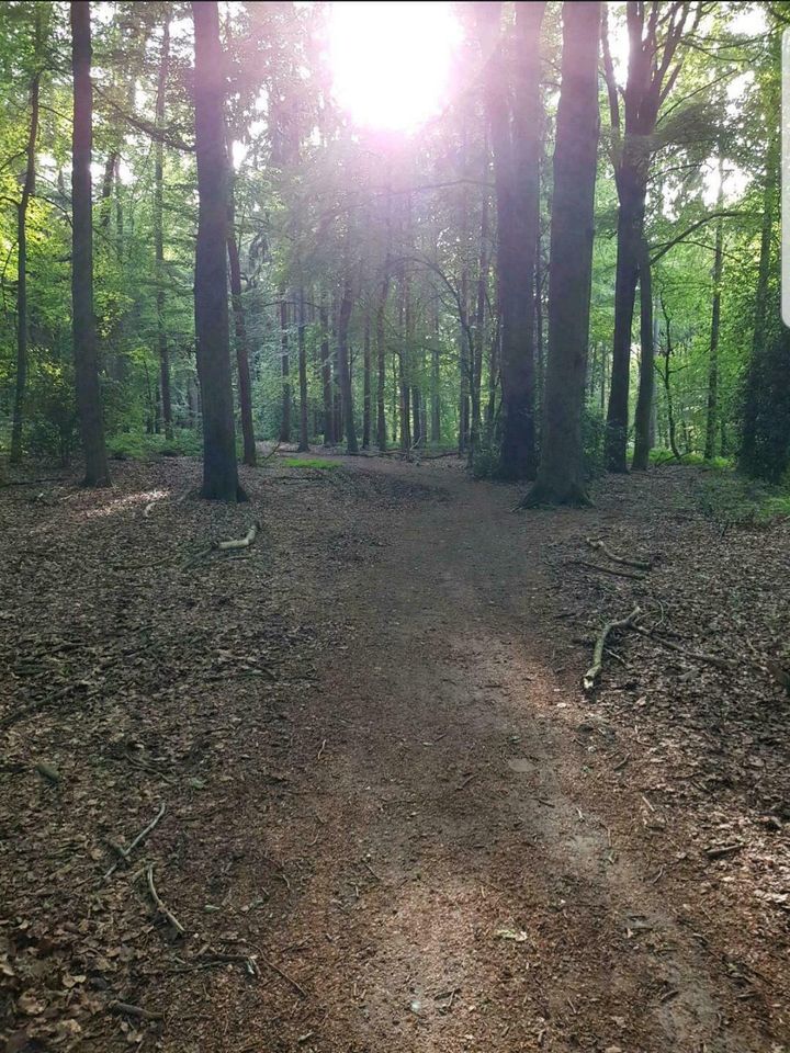 Walk & Talk ❤im Wald❤ in Bremen