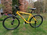 Speed yellow Mountainbike Bayern - Penzberg Vorschau