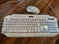 Gaming Tastatur Maus Set Niedersachsen - Müden Vorschau